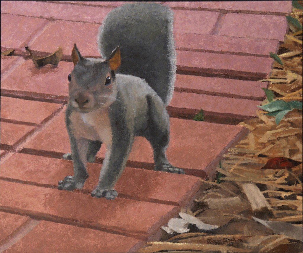 Where’s the Nuts?