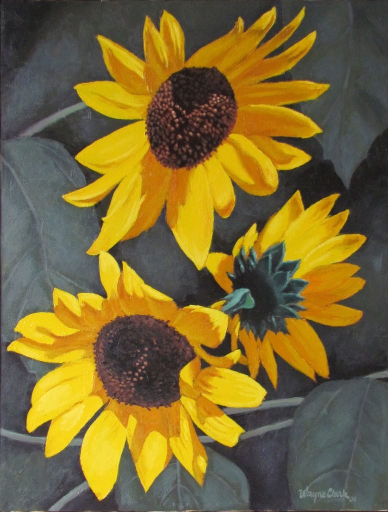 Sunflowers