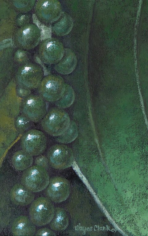 Black Pepper